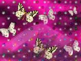 thBUTTERFLIES-11.jpg image by Catherinevec