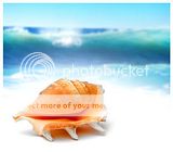 sea shell